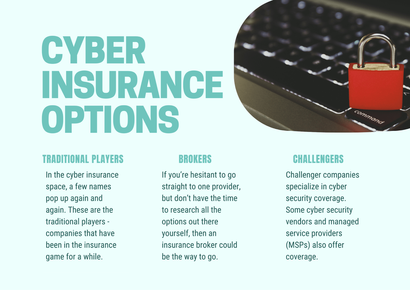 Cyber insurance options 