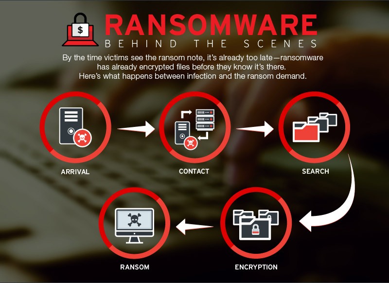 Infographic showing how ransomware works 