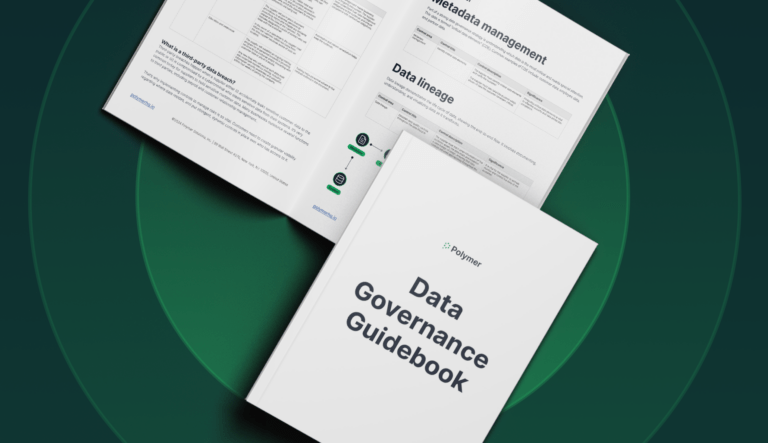 data governance guide